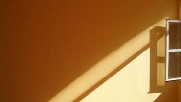 Enhance Natural Light in Your Home with High-Quality Replacement Windows